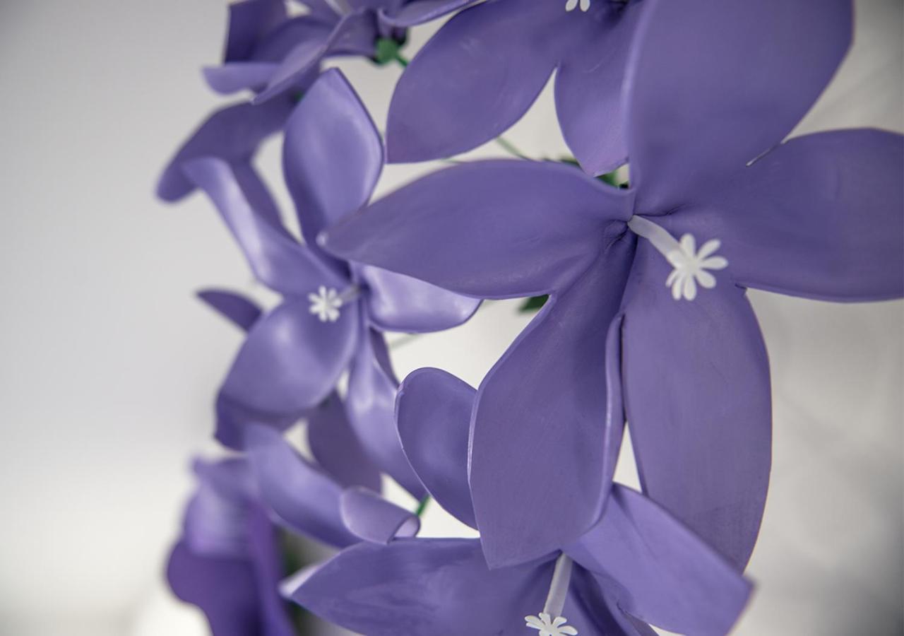 Affittacamere Le Stanze Dei Fiori